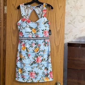 gorgeous lacy dress !